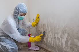 Best Mold Prevention Services in Charlotte Hall, MD